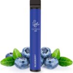 ELFBAR 600 DISPOSABLE POD BLUEBERRY
